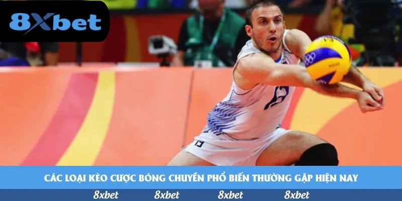 8xbet - 789club tài xỉu