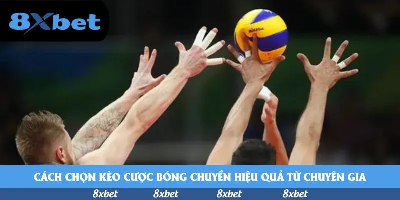 8xbet - tải new88
