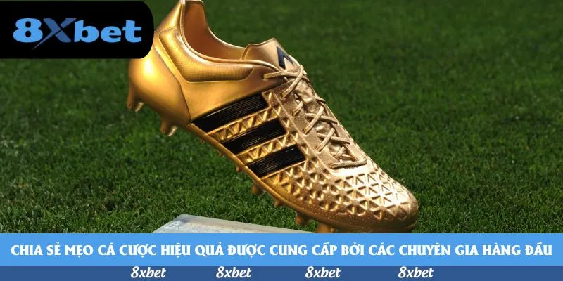 8xbet - link vào m88 bhki