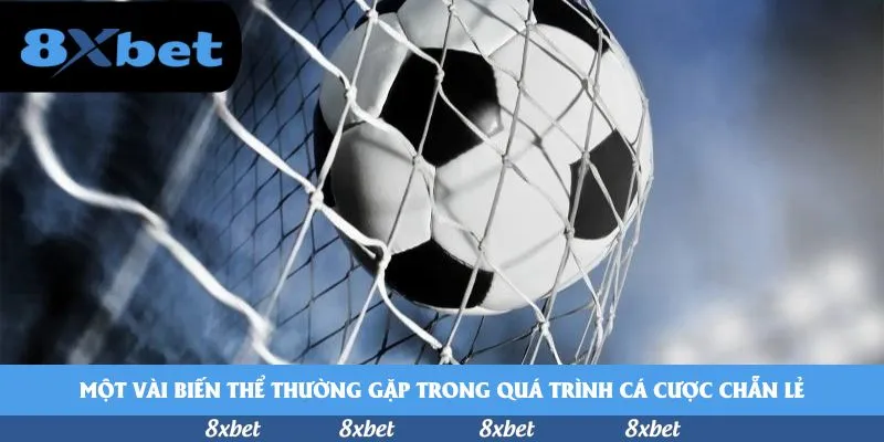 8xbet - 188bet cho dien thoai