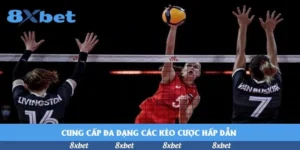 Cá cược đá gà: Nên hay không nên trong bối cảnh World Cup 2026?