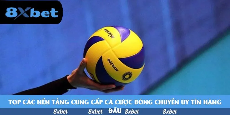 8xbet - hướng dẫn đọc kèo bóng đá