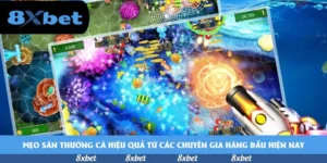 Hướng Dẫn Đọc Kèo Bóng Đá: Cách Tiếp Cận Thực Chiến