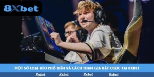 Cách Hiểu Tỷ Lệ Cá Cược Bóng Đá Việt Nam Cho World Cup 2026