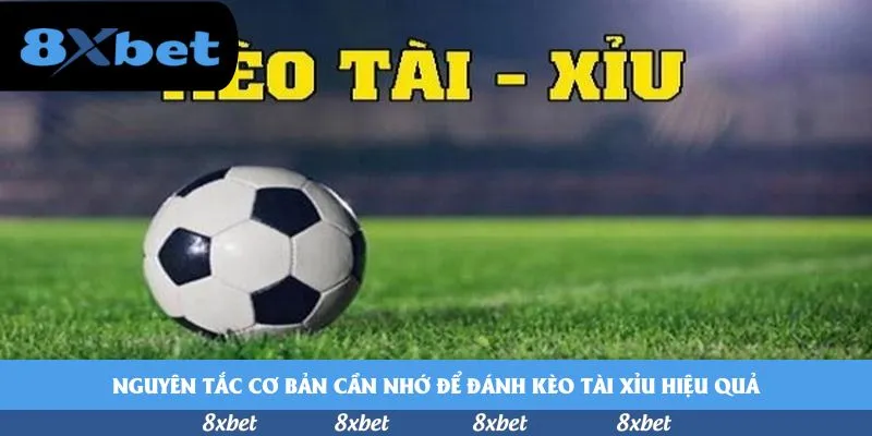 8xbet - fabet uy tín không