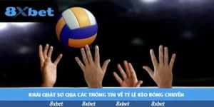 Tải Fi88: Hiểu Đúng Về Ứng Dụng Giải Trí Này Trong Bối Cảnh World Cup 2026